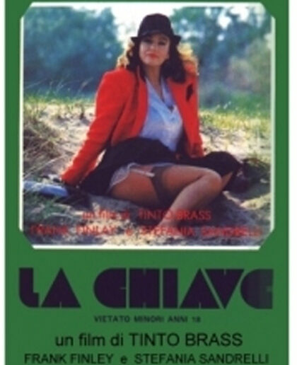 La Chiave VHS Stefania Sandrelli Tinto Brass   (Prodotto Usato)